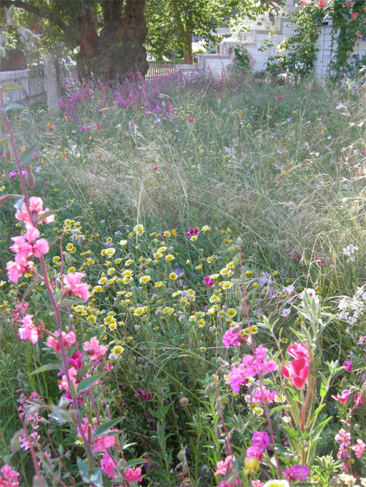 Leas Meadow